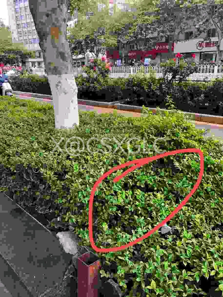 0871云南昆明老哥，新玩法，寻宝游戏，放了一条女友的原味黑丝，在上图定位中路边的绿化带里，昆明同城的同好赶紧行动起来吧！拿到的记得反馈一下。 https://t.co/zgl3AA3ZiP
