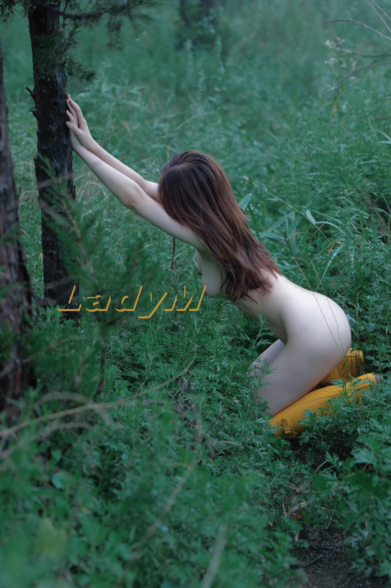 小得盈满 爱逢其时

@Fengsiyuan 
@tbzt2024 
@luchu888888 
@51luchu_ https://t.co/YMzDODBKm5