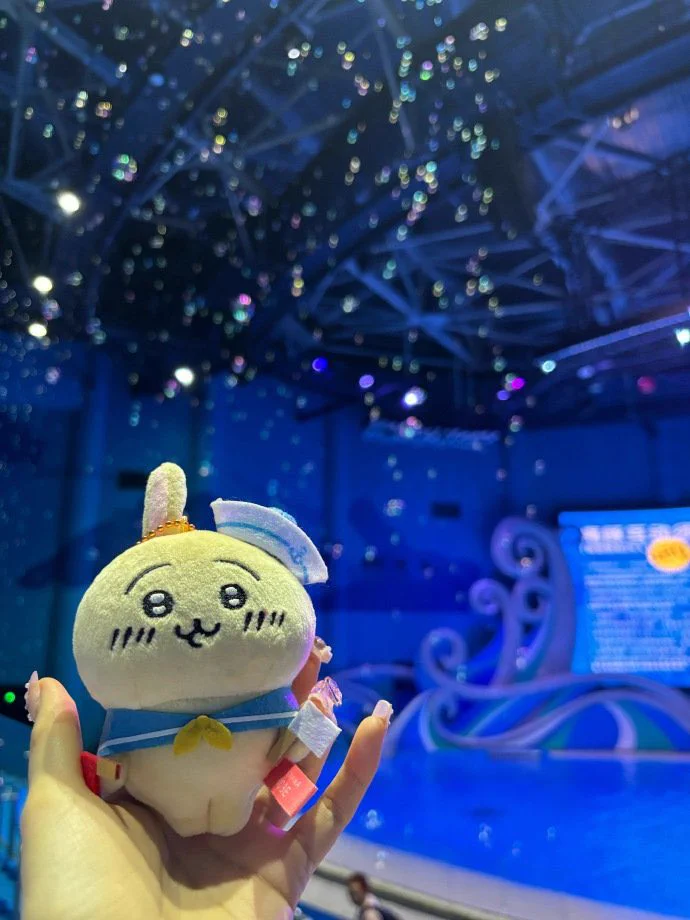 🪼🫧🫧🦭 ​​​#互fo https://t.co/EVKZN57G4e