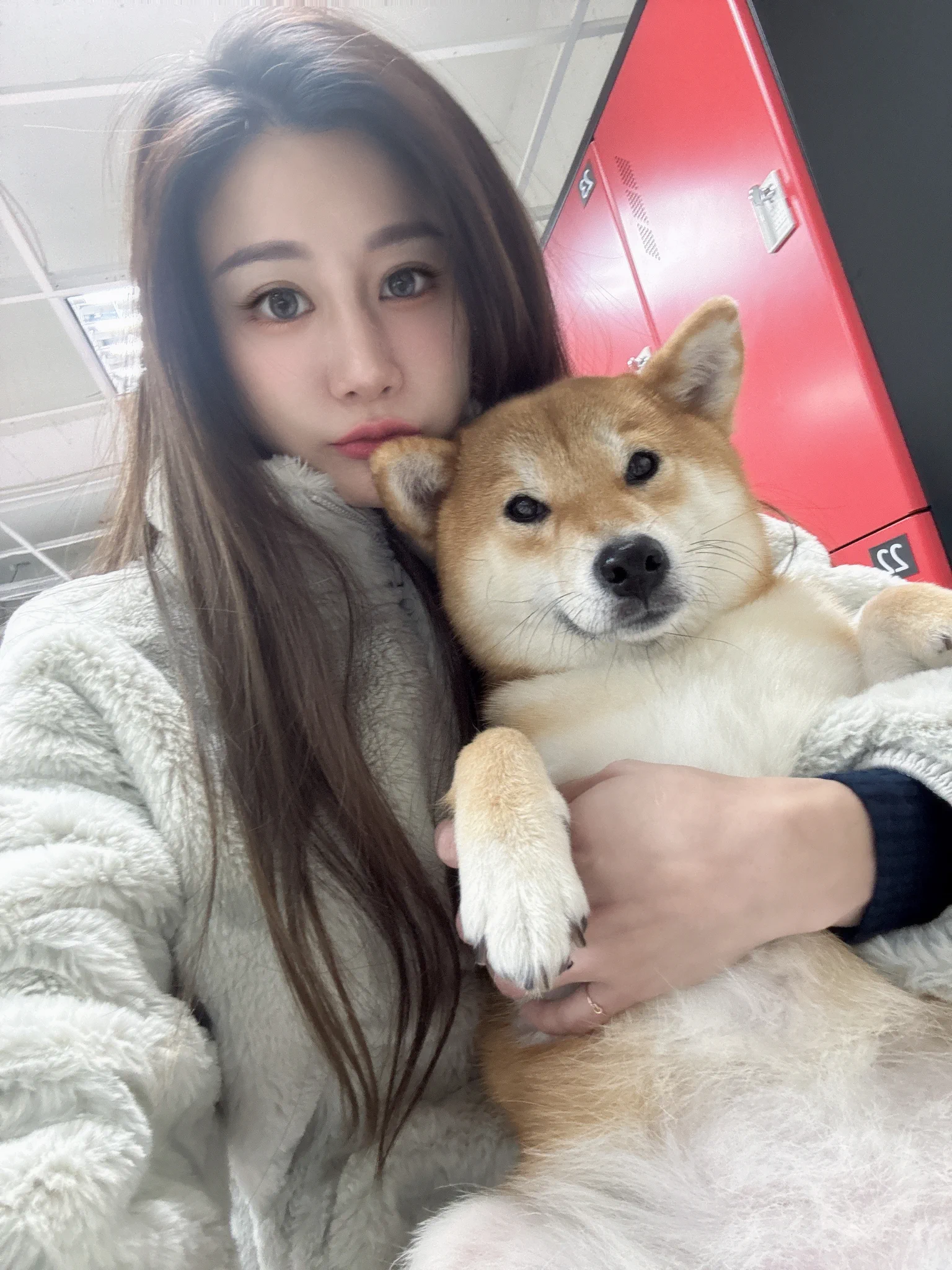 不管了！先抱再說這柴也太乖萌了吧😍#汪汪#嚕狗日常𝕁𝕍𝕀𝔻 🔍 𝕗𝕒𝕟𝕝𝕒𝕣𝕒𝟙𝟚𝟚𝟛 【LINE】https://t.co/JHpyc267YW【JKFace】https://t.co/Z43zkXqPxW https://t.co/XgLQEpqeN6