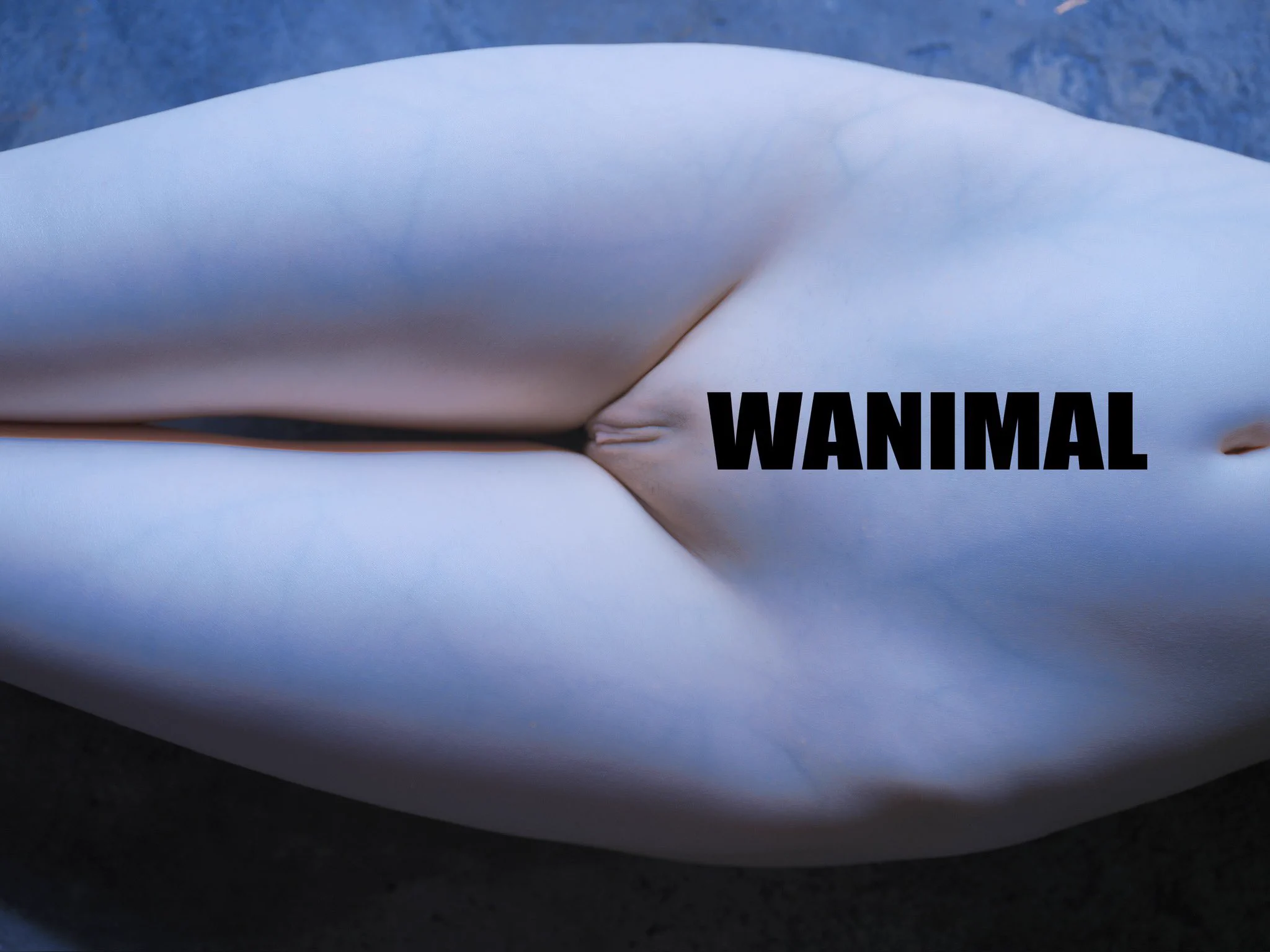 Forbidden FruitWANIMAL MATE@JennySuen10 https://t.co/rgd0VwbYMD