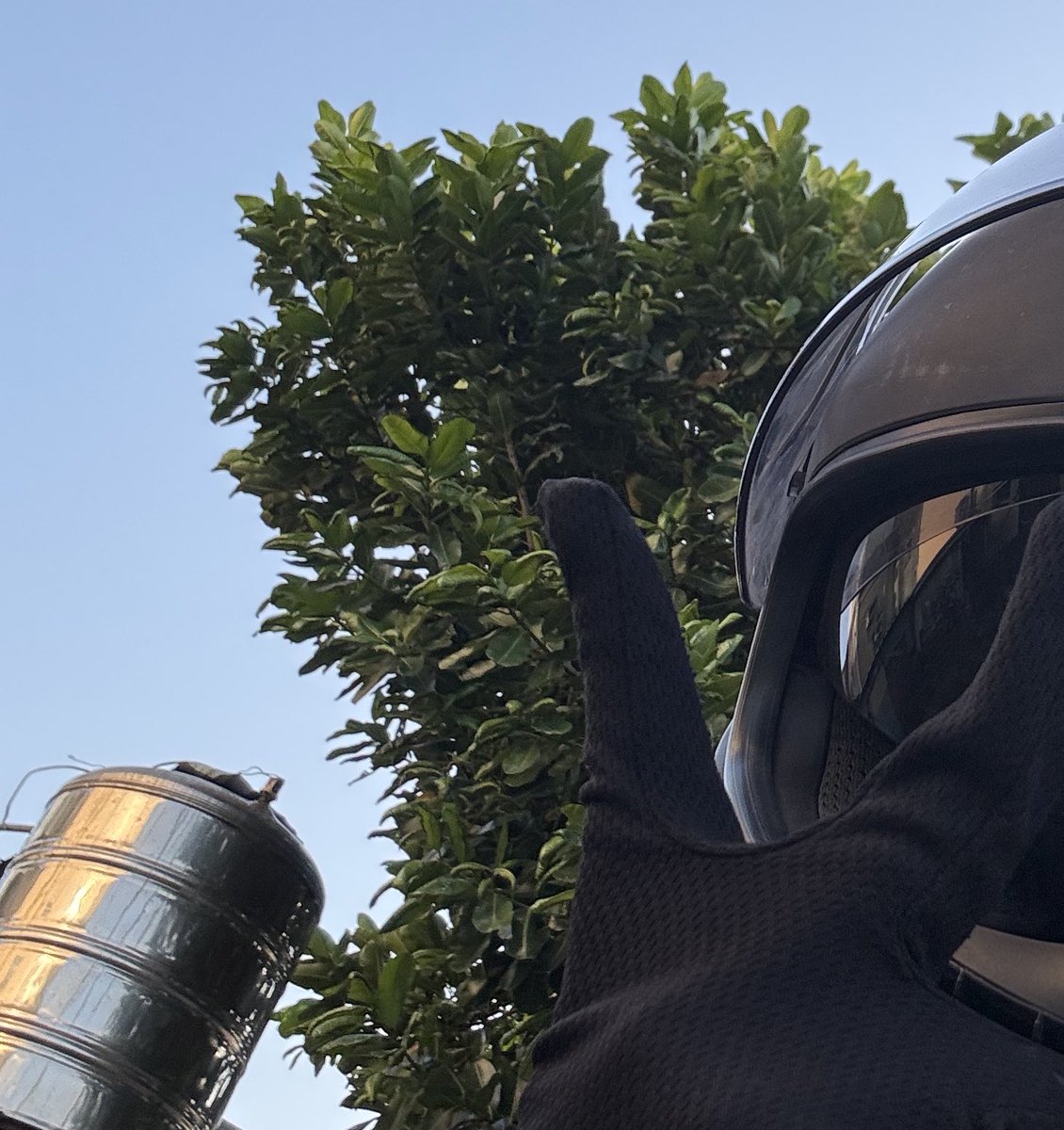 我站在雲林裡👇😑👆

打魚👇😑👆

頭在暈👇😑👆 https://t.co/Vo2Zy5oHXI