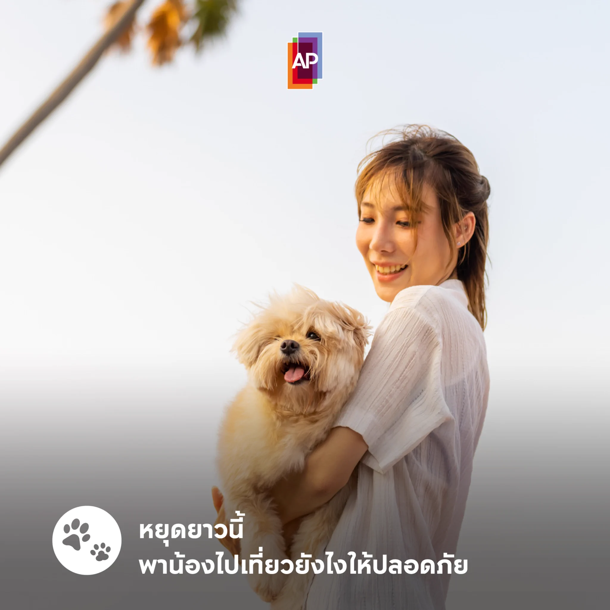 🧳พาสี่ขาเที่ยวยังไงให้น้องๆ ปลอดภัยตลอดทริป ไปดูกัน✅🐶ถ้าเขาเห่าเยอะเพราะเครียด ให้พาไปผ่อนคลายในที่เงียบๆ🐶ถ้าเดินทางไกล อย่าลืมเตรียมอาหารให้พร้อม🐶ติดป้ายชื่อ/ฝังไมโครชิป เผื่อพลัดหลงกันSource: https://t.co/erkDpXvQiw, https://t.co/00KmHxSVJb#APThai #ชีวิตดีๆที่เลือกเองได้ #APLivingseries