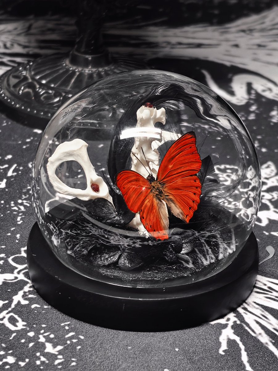 一个即兴手作 https://t.co/ZyMgovIK9C