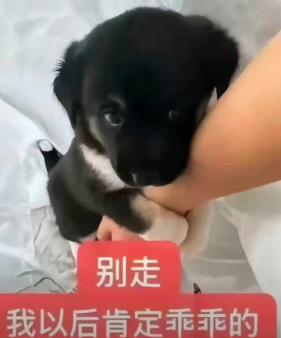 微信解封了 不会主动单删任何花钱的宝宝 https://t.co/rGZ8qkqEhB