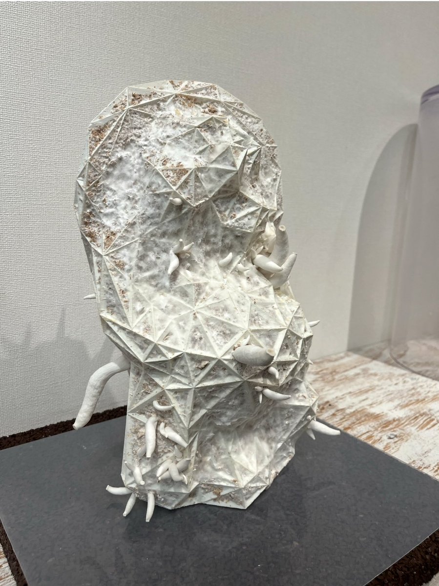 菌糸たぬきの置物

ワイヤーフレーム内に菌糸を詰め込む
明暗、温度、湿度を管理

美しい平茸が生える https://t.co/qcTKt6hUH4