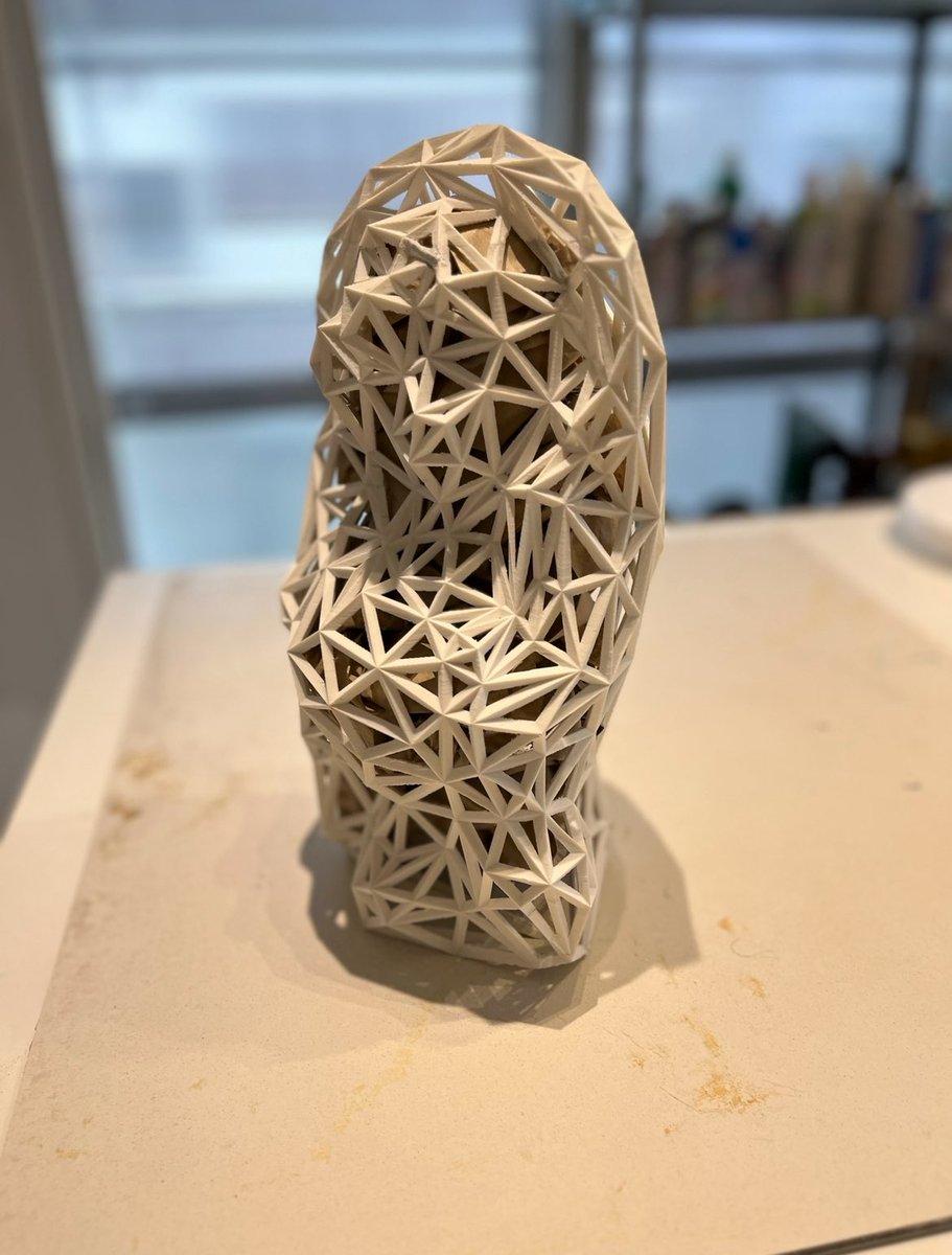 菌糸たぬきの置物

ワイヤーフレーム内に菌糸を詰め込む
明暗、温度、湿度を管理

美しい平茸が生える https://t.co/qcTKt6hUH4