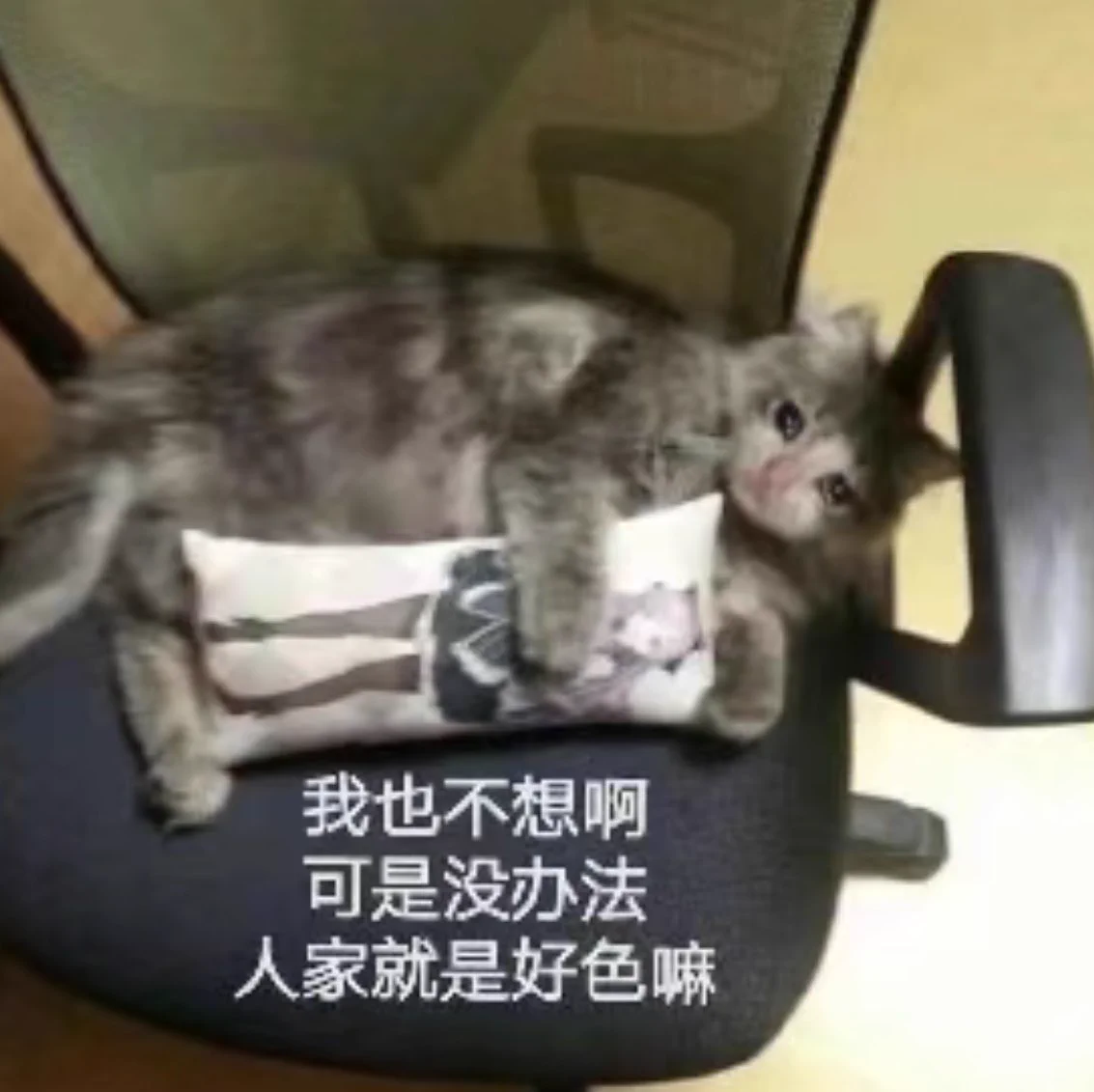 老公今晚要不要那个 https://t.co/IH6ftXy1gT