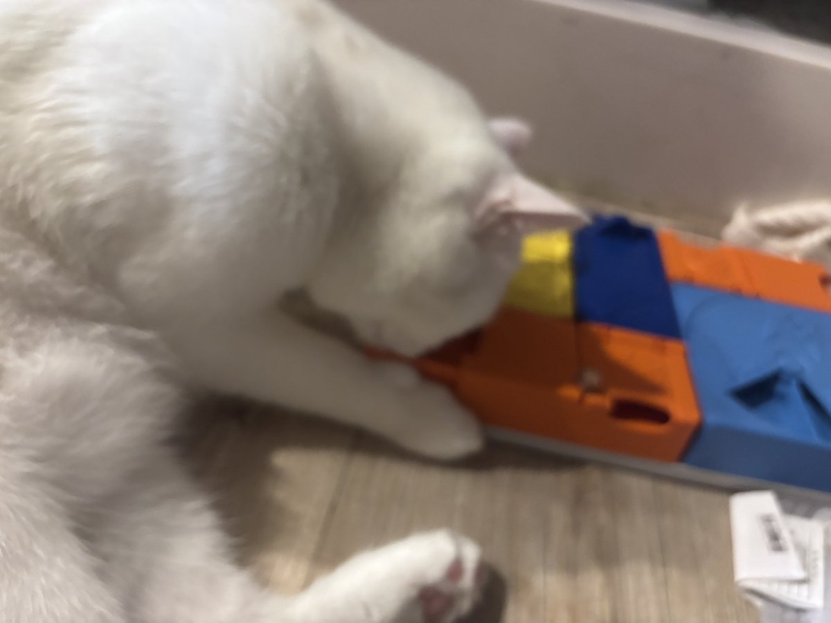 超級厲害，抽屜也打得開吃零食，果然美肉就是愛吃 https://t.co/r5o91ALDX6