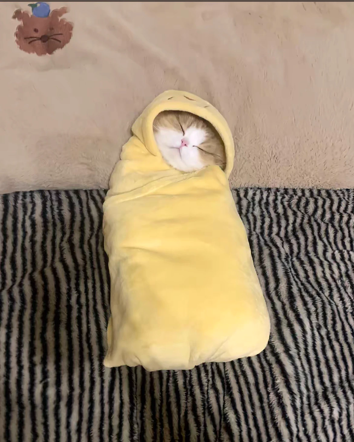Purrito 🐱🌯 https://t.co/eUguPyAzkS