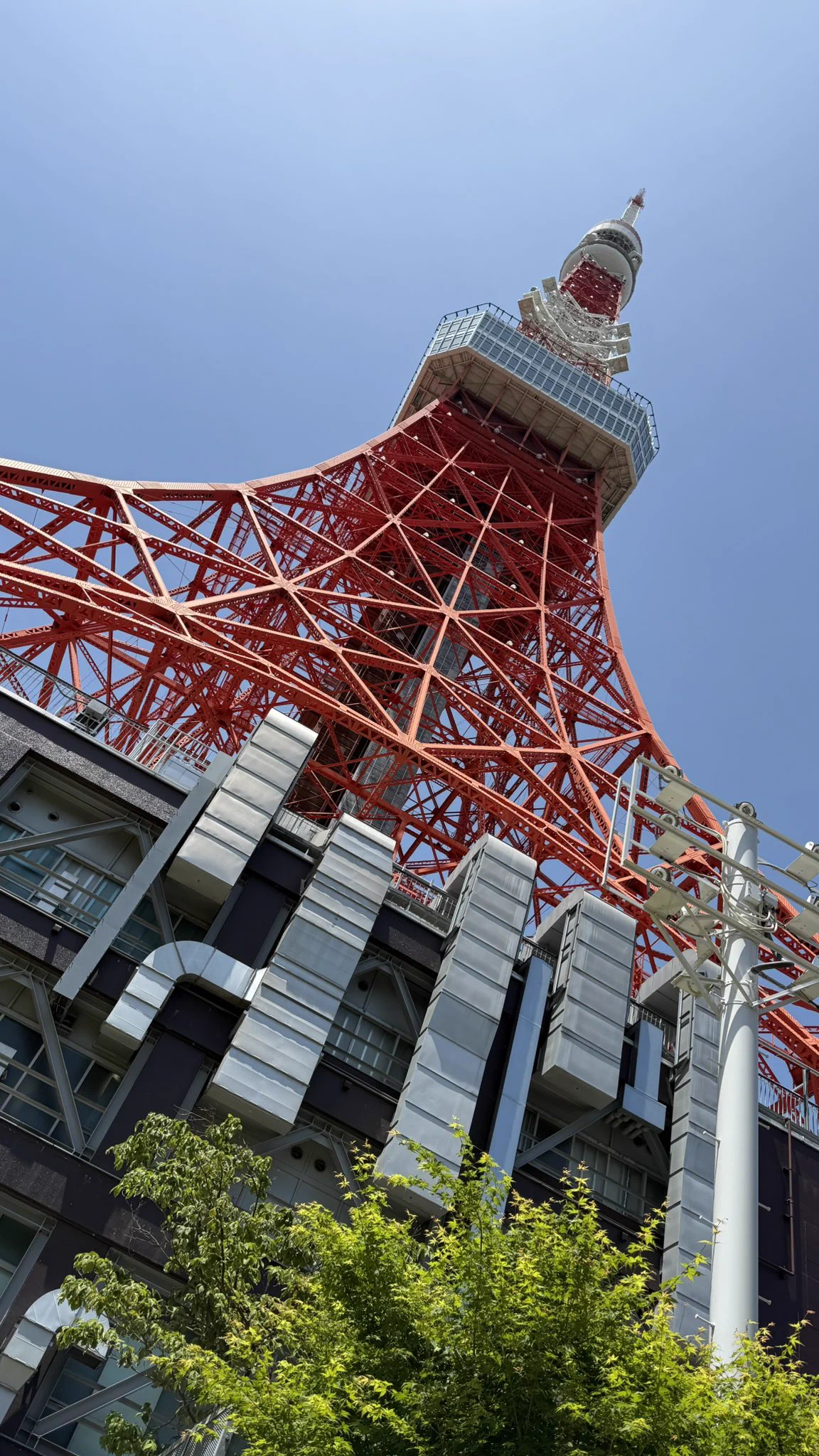 東京観光してるんだ🗼 https://t.co/YGU5fAFch7