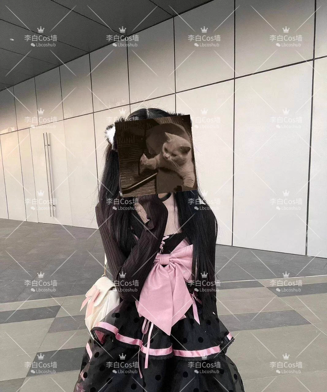 🌸今日广州白幼瘦好评推荐:🌸18 166 86 B🌸萝御双修 三点粉嫩 白嫩肌肤🌸🉑SM调教🉑三通🉑WT中出 Coser嘉宾 甜软小蛋糕🌼价格次3夜6起步，全国一二线城市有高铁✈️均可安排！欢迎滴滴！🌼联系方式(门槛88，过滤口嗨白嫖怪):VX:LbcoshubQQ:3784001446TG: https://t.co/6g69JNcMuk https://t.co/V0W1DbVJfW