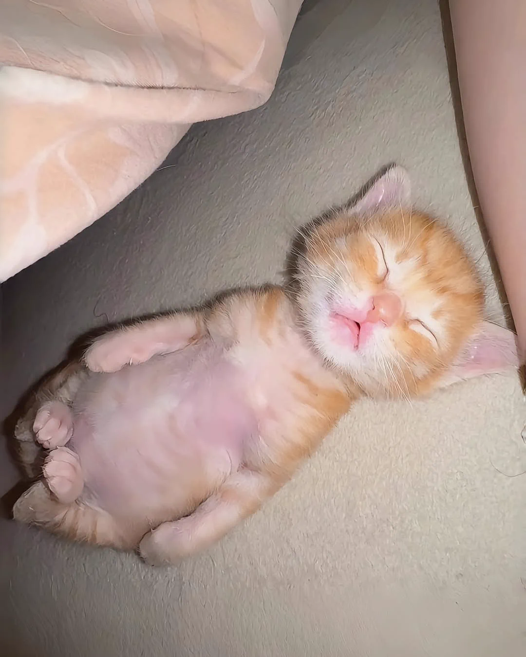 eepy https://t.co/JvcHSVkpgE