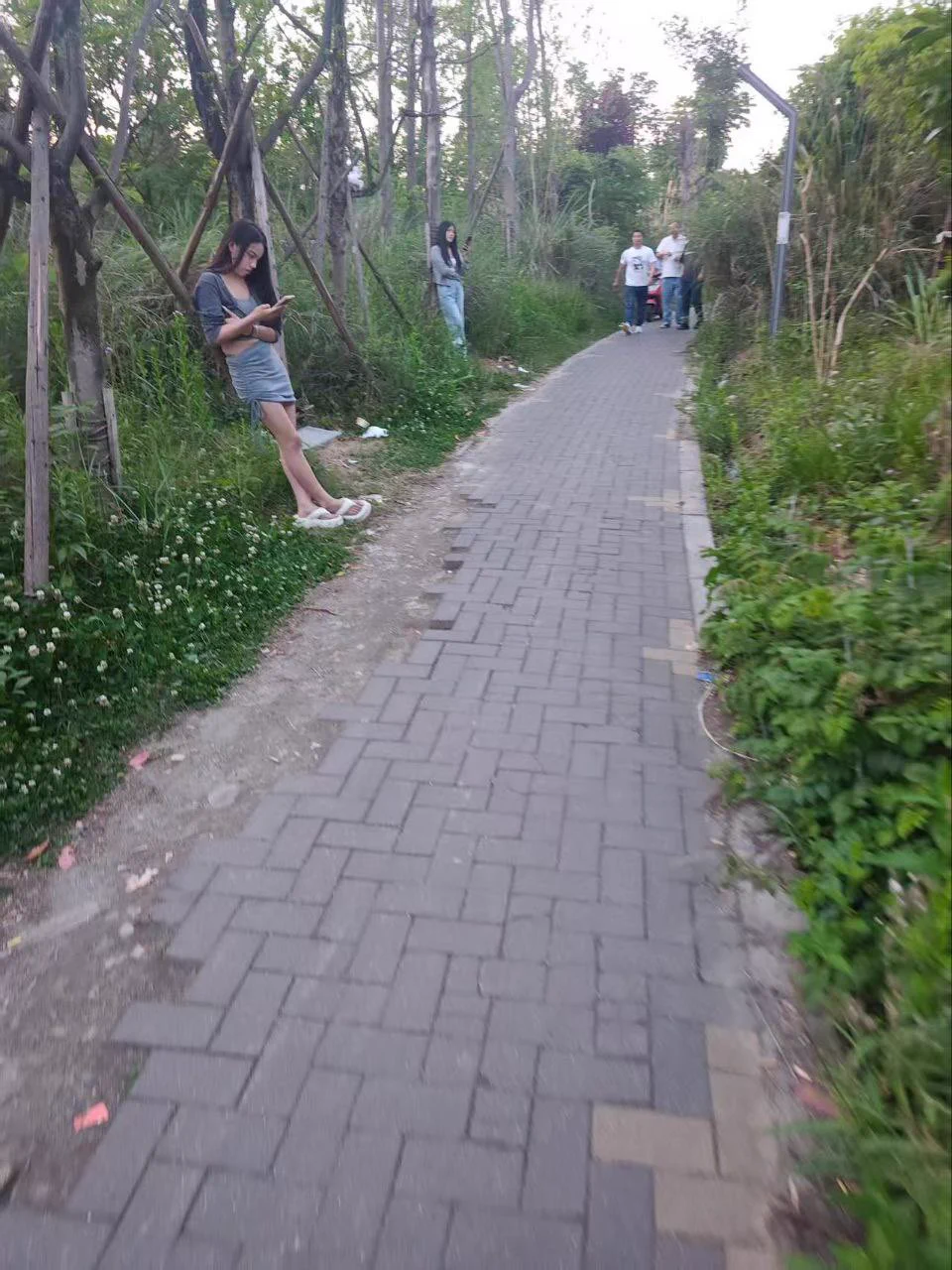 现在都流行野鸡了，大环境不好，连房子都不租了。可惜没有地址，知道的兄弟留下地址，搞野🐔视频分享出来#站街 #站街女 https://t.co/bSOAGKVDm9