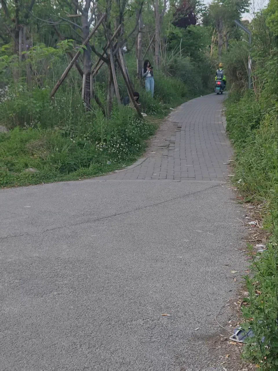 现在都流行野鸡了，大环境不好，连房子都不租了。可惜没有地址，知道的兄弟留下地址，搞野🐔视频分享出来#站街 #站街女 https://t.co/bSOAGKVDm9