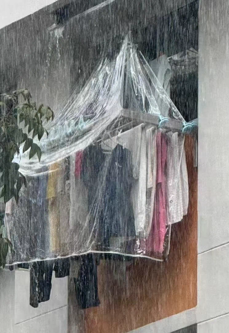 看到有人這樣曬衣服傻眼貓咪 濕氣那麼重 能乾嗎... https://t.co/dYrIWAMTdc