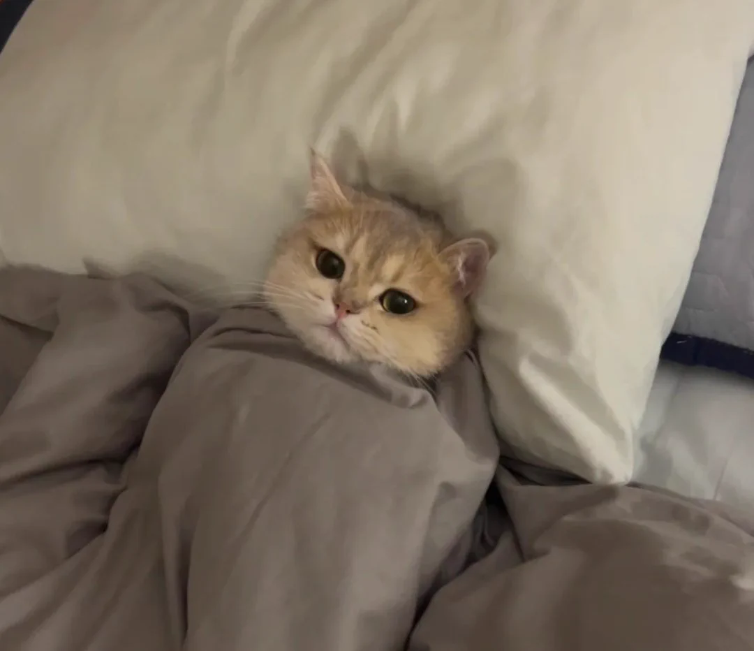 宝宝再睡会，到点叫醒我😪 https://t.co/cCyNkZXnfk