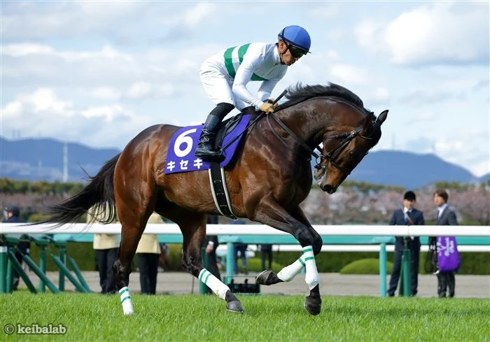【あっ誕生日ぃ】5月13日は17年菊花賞を勝った人気者・キセキの誕生日！今年初年度産駒の2歳世代が待望のデビュー。愛息子、愛娘たちはどんな軌跡と、どんな奇跡を見せてくれるでしょうか。#キセキ #誕生日 #キセキ生誕祭2025 https://t.co/U9pji1FS9v https://t.co/de8z4y2rsH