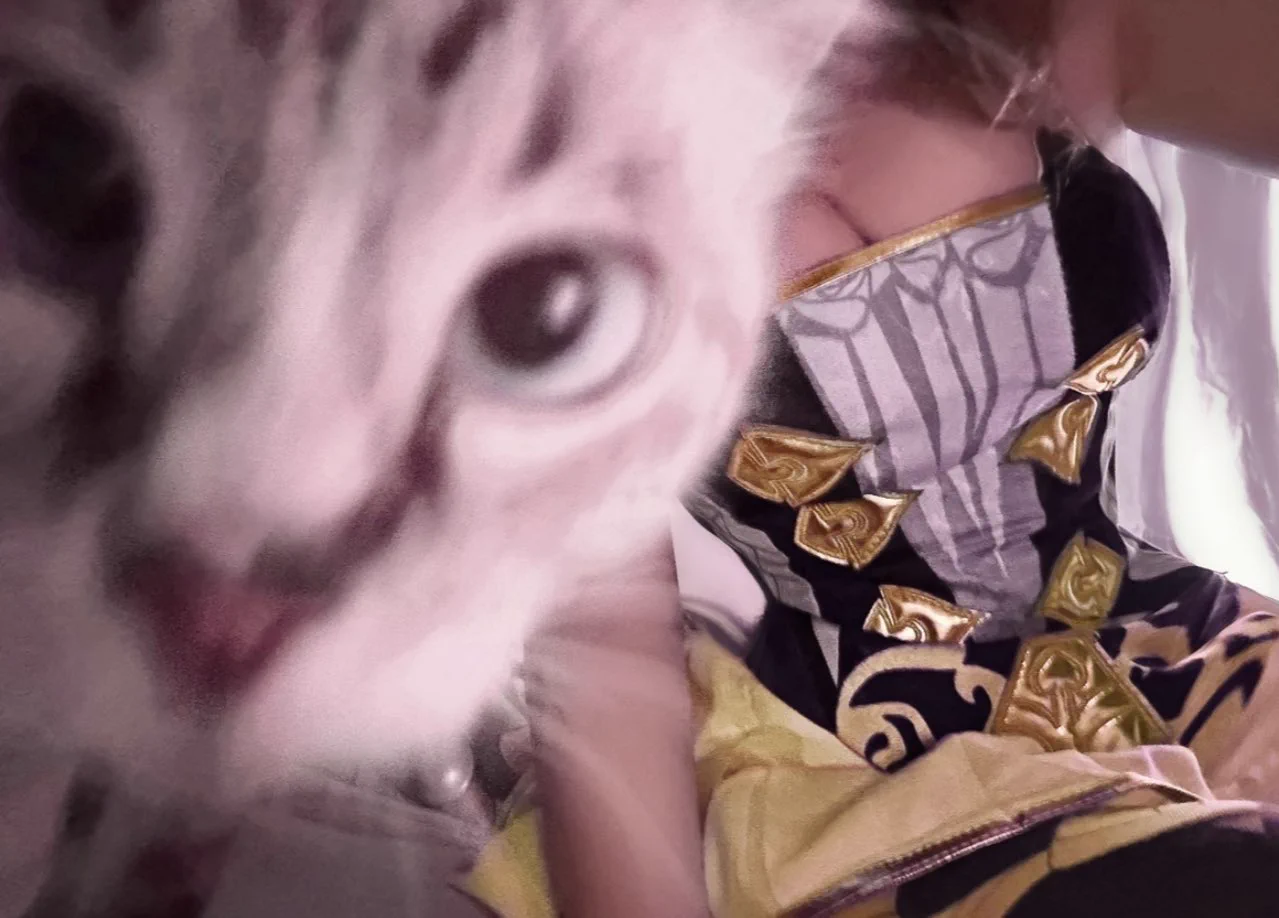 navia cosplay + cat https://t.co/rvSSeOnVQl
