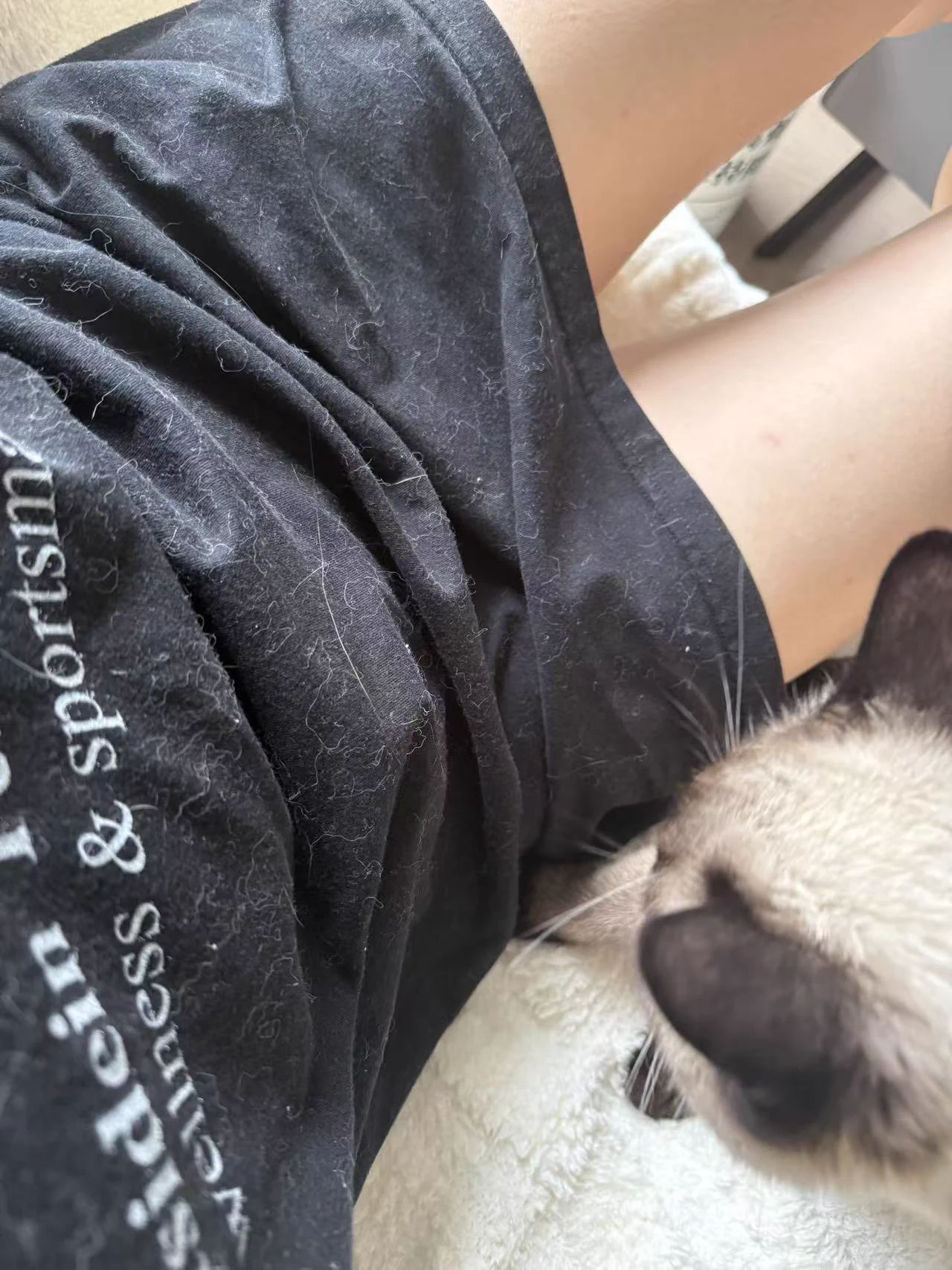 养猫真的不能在家穿黑色 https://t.co/wwdN71QJow