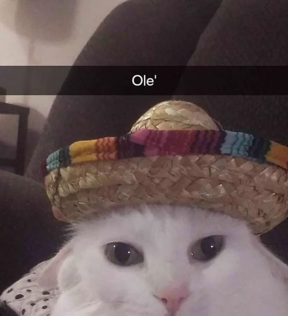 Ole' https://t.co/oUg0aw4M5P