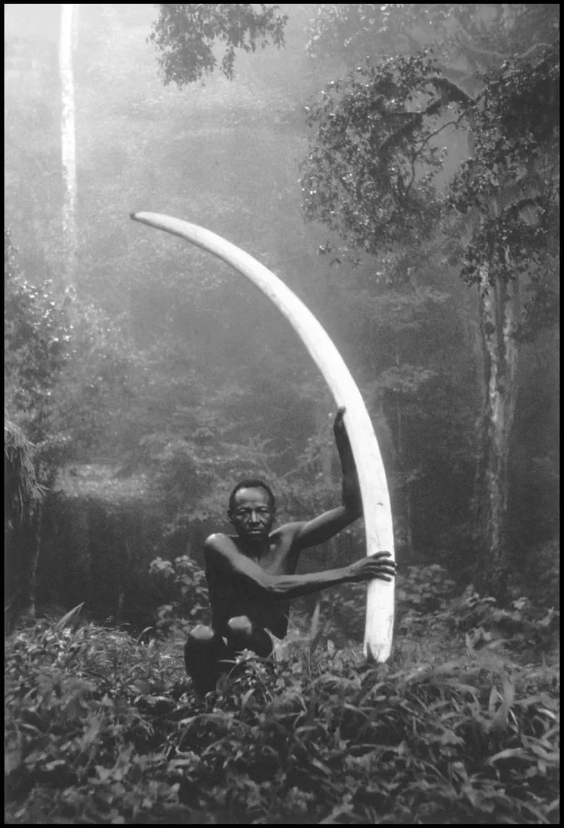 Man with elephant tusk, from "The End of the Game". 1950sPeter Beard https://t.co/GRcM6yWsZX