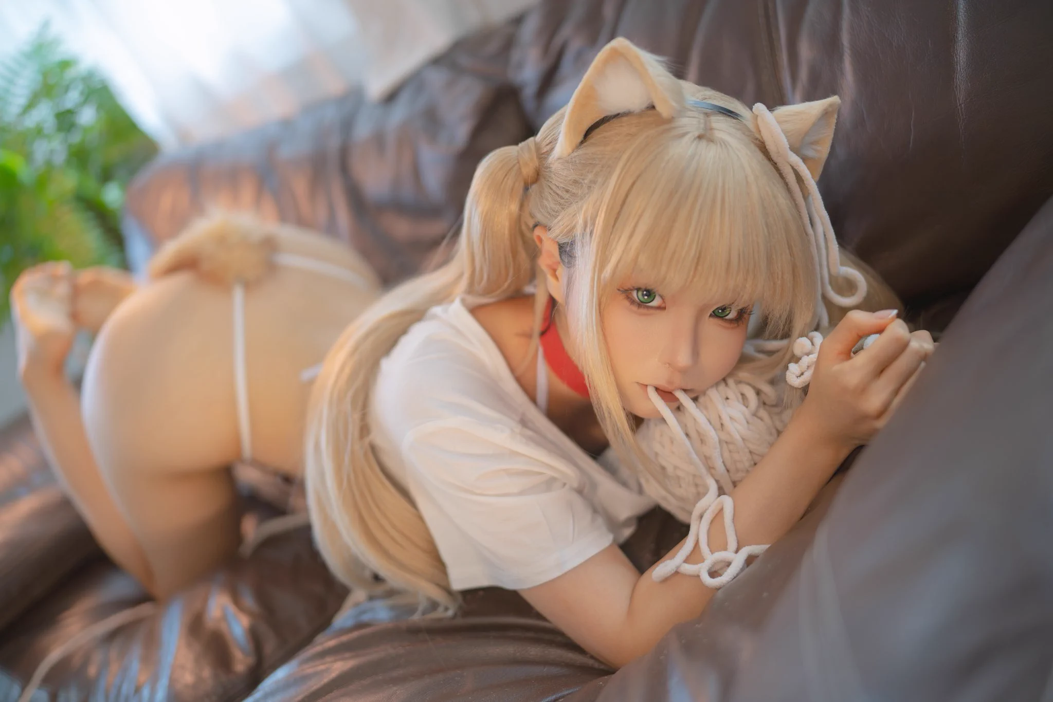 🐱2.0🐱 https://t.co/gI5z7KFydd