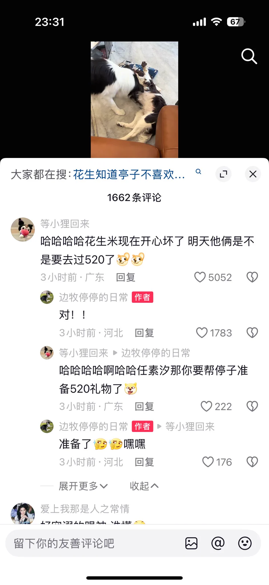 我追的cp是真的🤩每天睡前要看猫猫狗狗才能睡着 https://t.co/GgNH5GGrJw