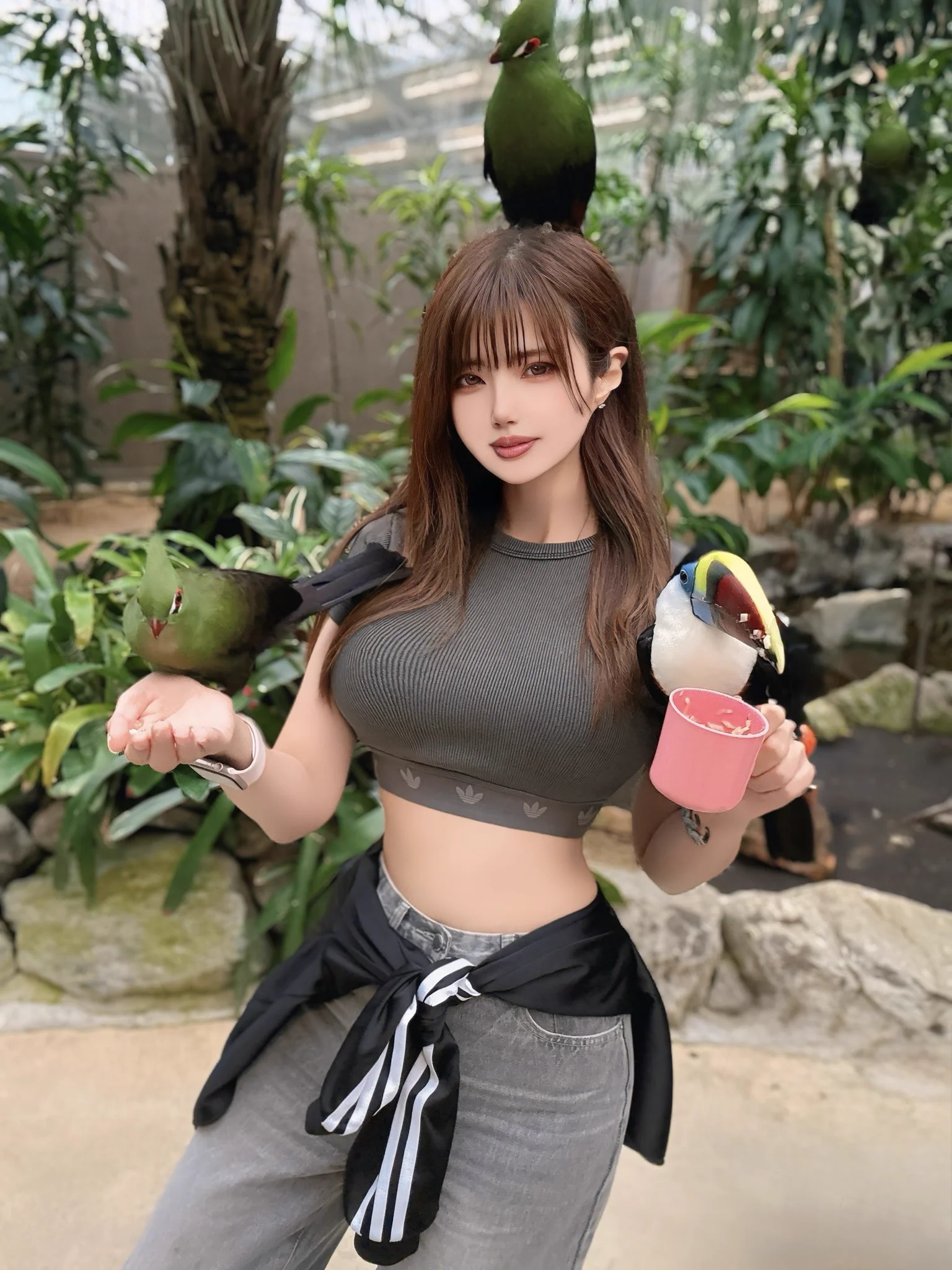 鳥使い🦜 https://t.co/fDSH5W9um0
