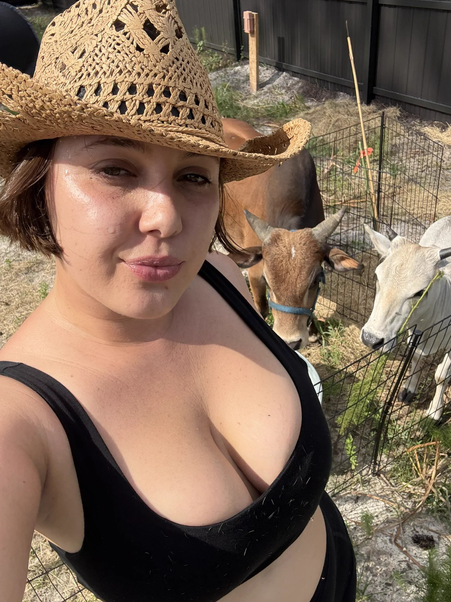 Cutest micro cow couple 🐮💚 https://t.co/RD8tTU8Fh6