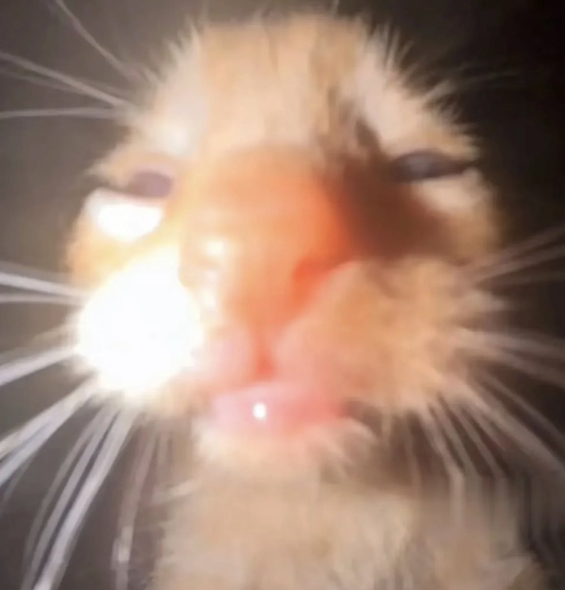 审美积累 https://t.co/16opTV54QW