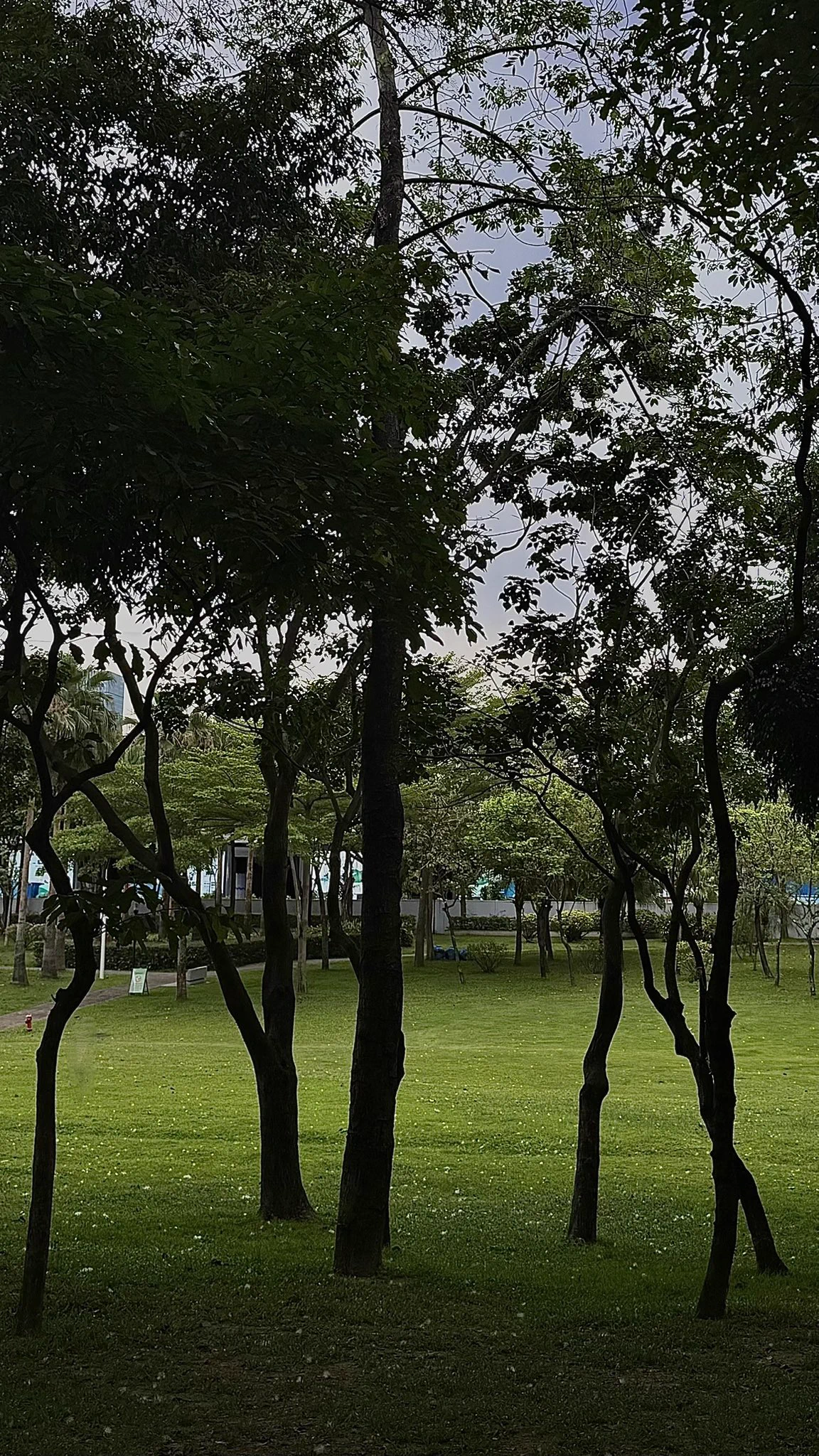 🍃 https://t.co/xcXIYhCQ51