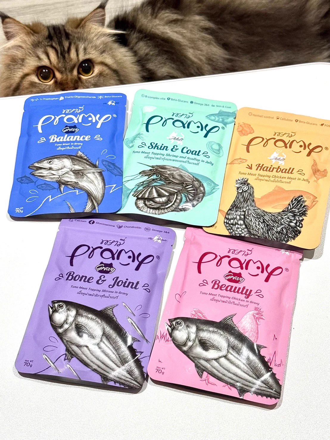 อาหารเปียกแมว pramy สร้างเรื่องมาก5555555555 แตกแตนมาก ไม่รอกันเลย เทยังไม่เสร็จมากินแล้ว หน้าจ่อถ้วยแล้ว555555555 ดูก็รู้ว่าอร่อย น้องแมวชอบทั้งคู่เลย กินหมดเกลี้ยง ขนสวย อึไม่เหม็นเลย ดีมากกก 🥺💕 https://t.co/A1DPs6mUTC