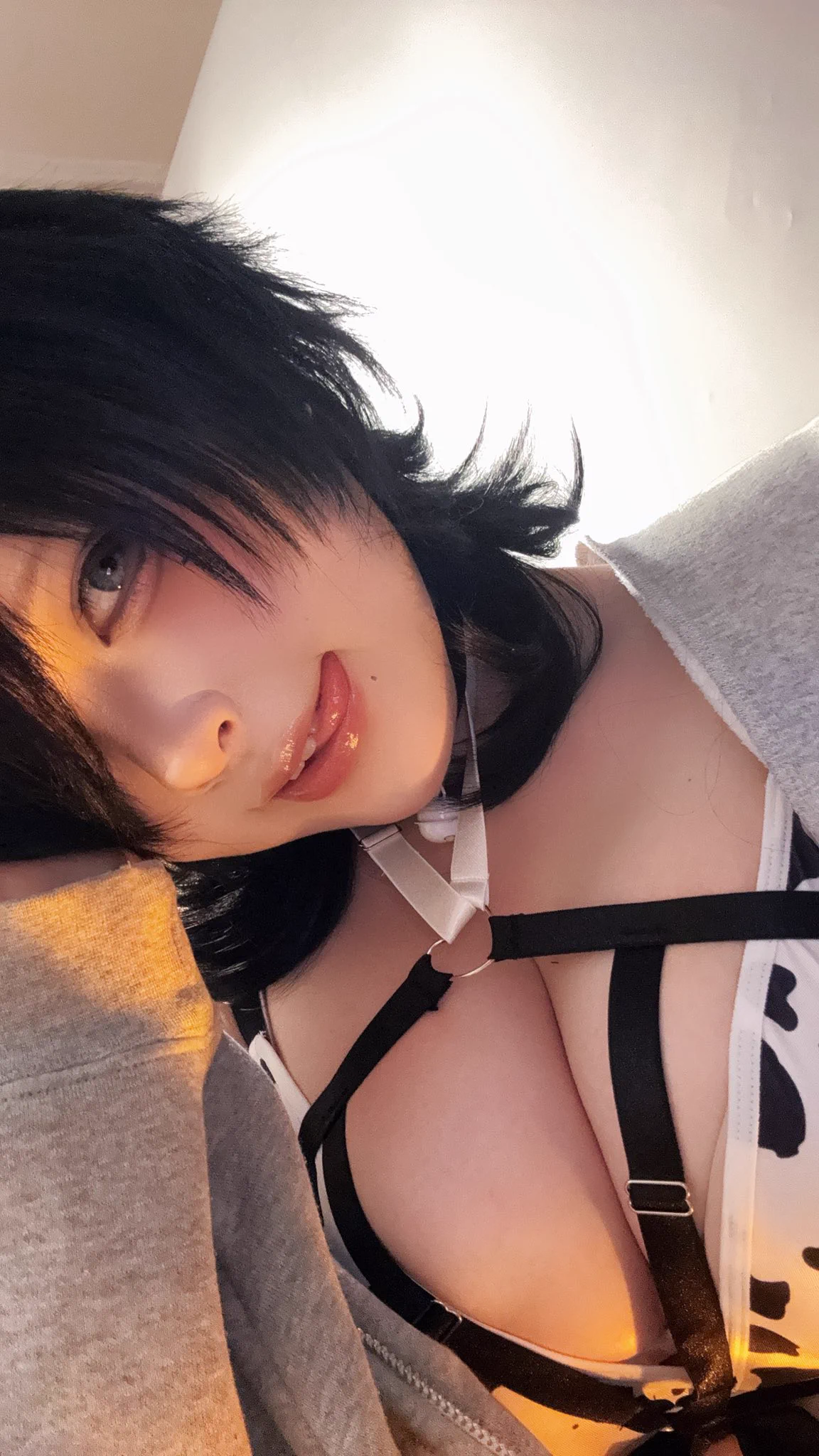 ペロ https://t.co/XL42rvV3u2