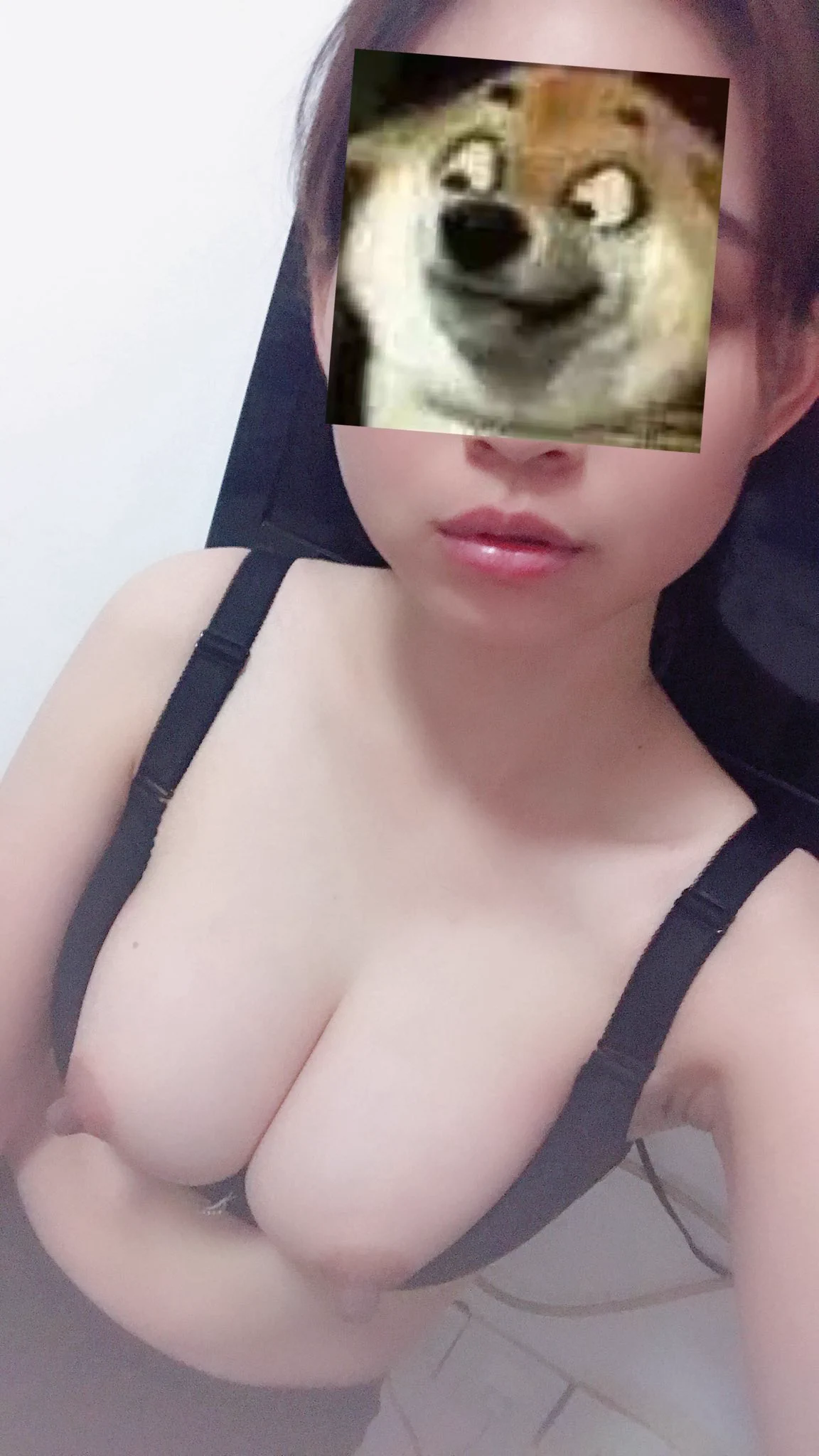 搞笑的贴纸~(¯▽¯~)~ https://t.co/eDGx5uzZPr