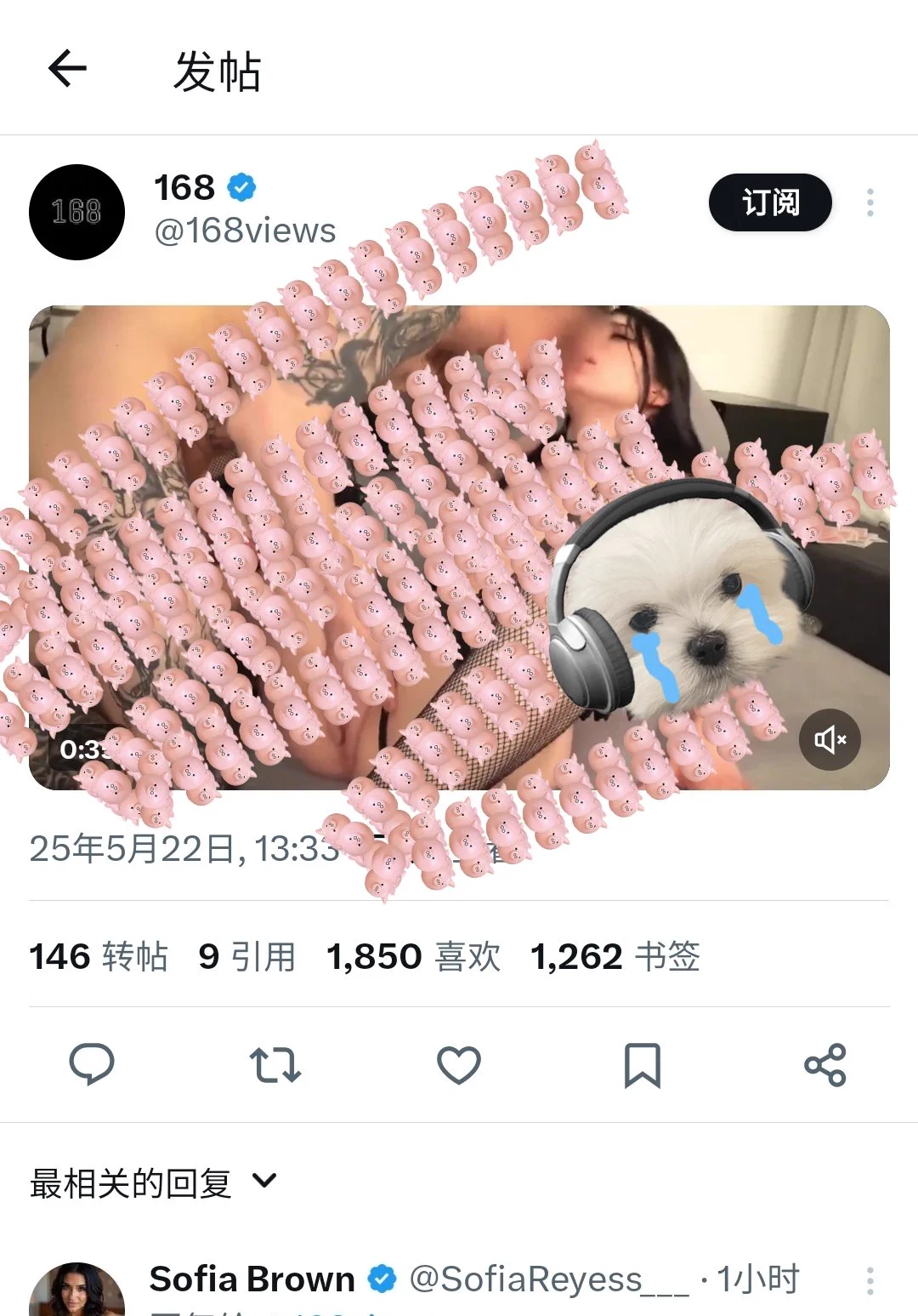 最近口味变了，喜欢上国外的推文了，欧美的直接 https://t.co/ipecbyYWWt