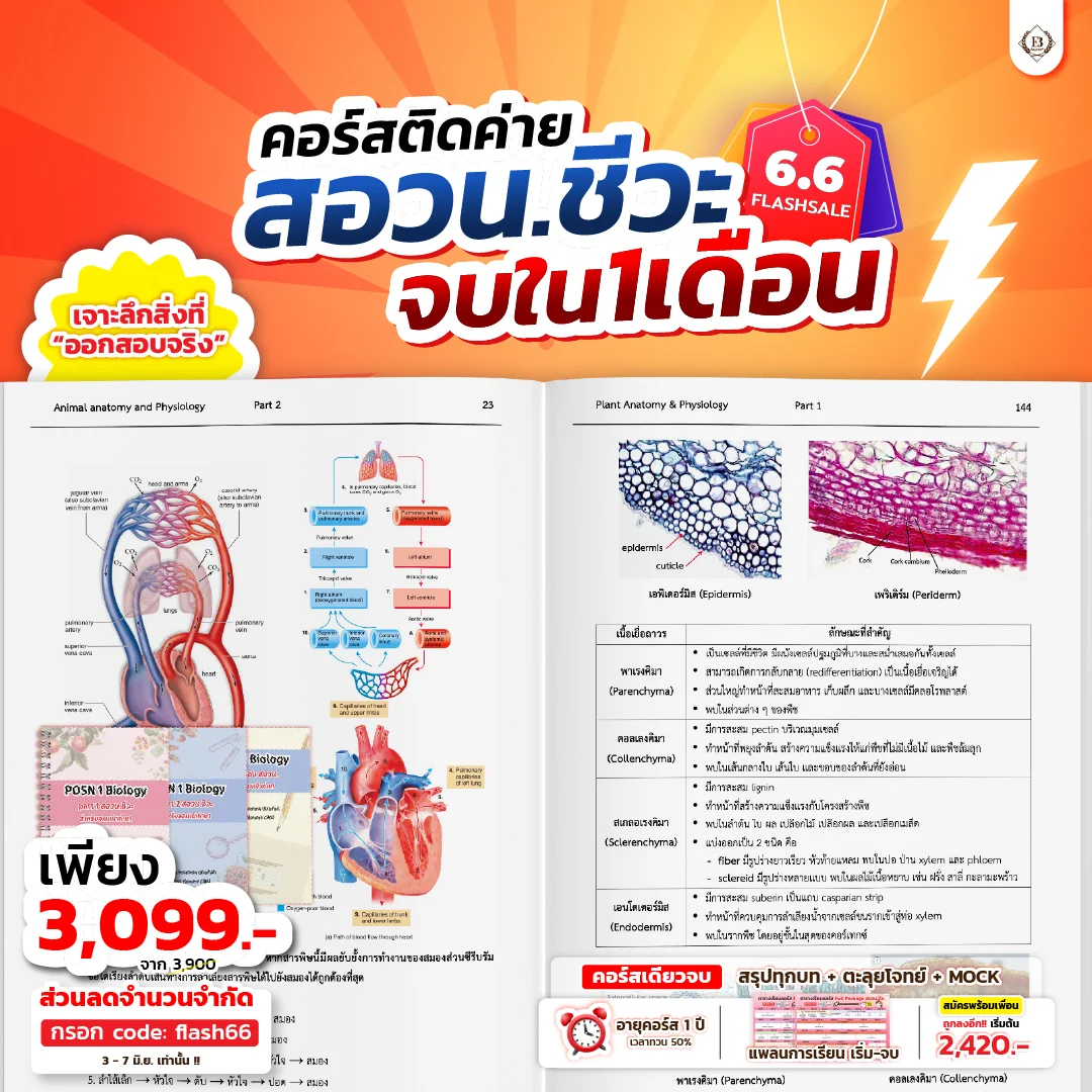 ⚡️6.6 คอร์สสอวนชีวะ 3,099.- ⚡️ปีนี้! ถึงตาน้องแล้วที่จะเป็นเด็กค่าย 1 #สอวนชีวะเพิ่มโอกาสติดด้วย ทางลัดที่ถูกจุด🧬คอร์สเดียวจบ🧬เจาะลึก+เก็งทุกจุดออก🚀ติดสปีดจบไวสุดใน1เดือน🗓️ 3 - 7 มิ.ย. เท่านั้น!!เก็บโค้ดล่วงหน้า https://t.co/XjHn4zkZS0#ชีวะครูฝ้าย #สอวน #สอวน68 https://t.co/gqevP2Ygsg
