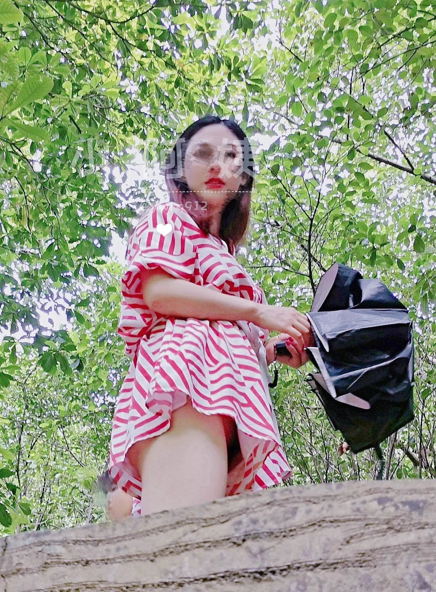 这样茂盛的黑森林，能找到方向进去吗？ https://t.co/TPh2N1MBye