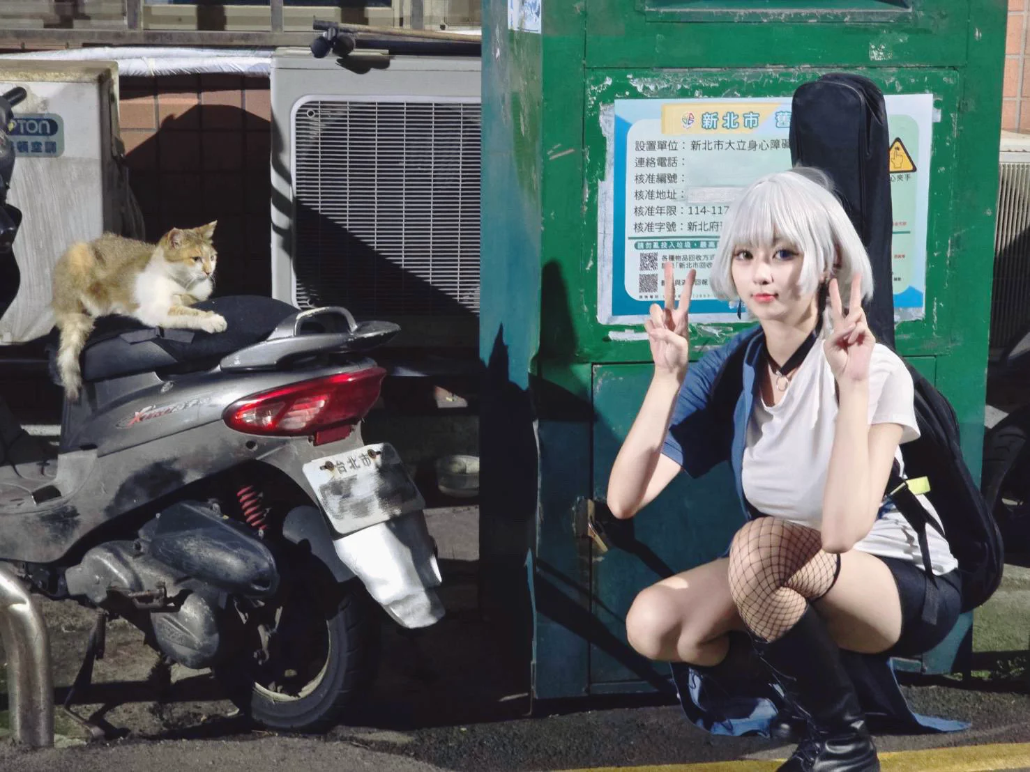 🐱🛵✌️ https://t.co/fdmYfMxSVj