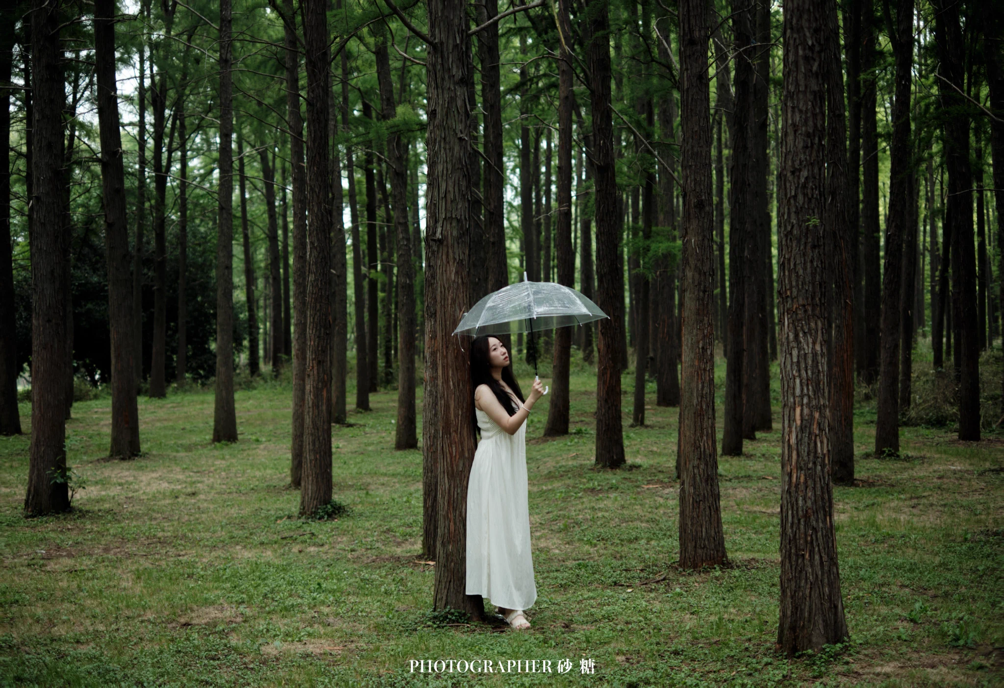 雨是一生过错，雨是悲欢离合————📷：@ArcShaTang ————@ToBulma @KawasawaSen @ToBulaer @BulmaList https://t.co/n33YTRnq4b