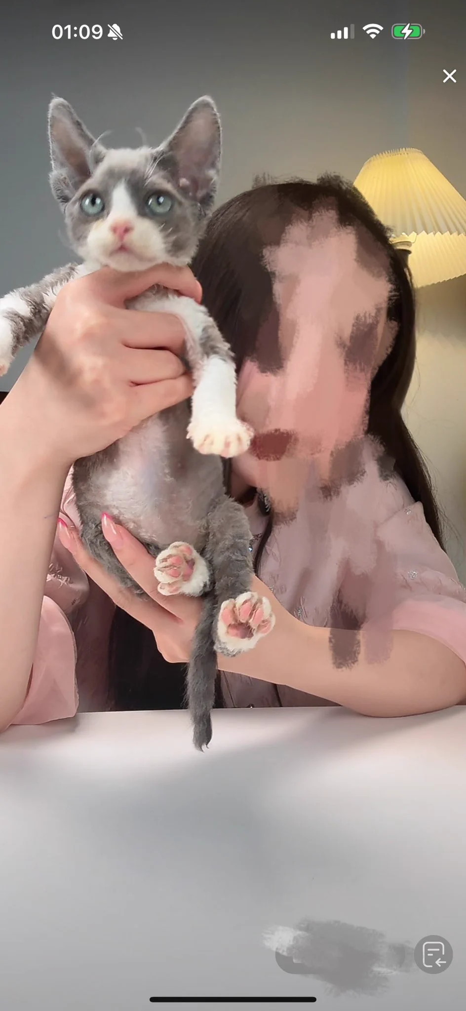 养猫了征个名 https://t.co/lO32MtKKj8