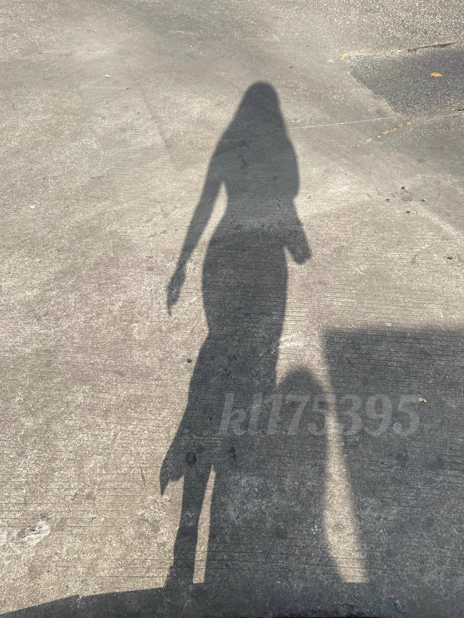 看影子就知道是个美人🤪 https://t.co/okQAU4bMUm