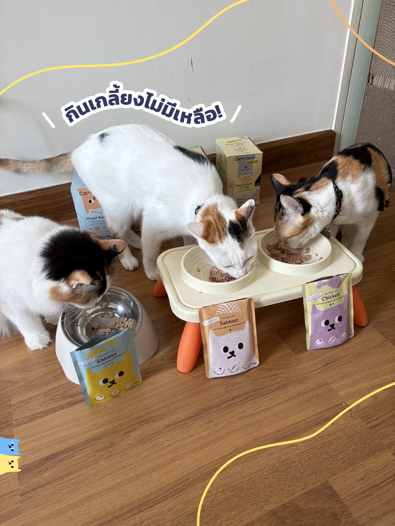 กินกันเกลี้ยง! ไม่เหลือให้แม่ล้างถ้วยเลยจ้าา~ 🍽️🐱Cat’s taste ฟินทุกคำ รสชาติดีไม่มีผิดหวัง📌 ไม่เติมโซเดียม📌 ไม่ใส่วัตถุกันเสีย📌 ไม่มีธัญพืชปน📌 คุณภาพระดับญี่ปุ่นแท้ๆ Human Grade.เปลี่ยนมื้อธรรมดาให้เป็นมื้อที่น้องเลียถ้วยจนแห้งได้ในราคาเบาๆพิกัด 👉 Cat’s taste ทุกช่องทางออนไลน์~🧡 Shopee: https://t.co/e9SPk0YP1n💜 Lazada: https://t.co/VHr4NfmsT9❤️ Tiktok Shop: https://t.co/b7VZwf9Udz#Catstaste #Catstasteคิดมาแล้วให้แมวlove #รีวิวจากผู้อีทจริง #ทาสแมว