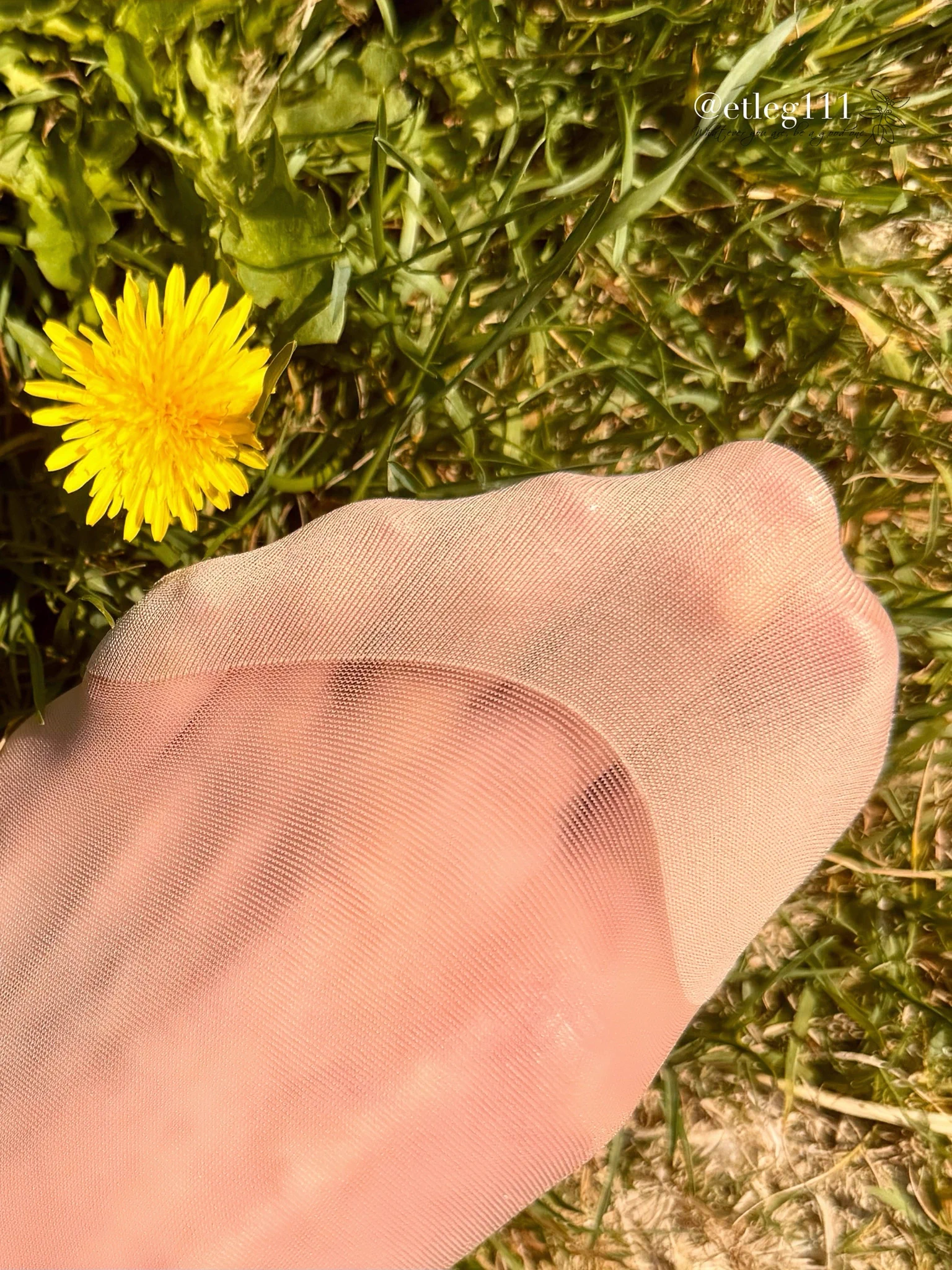 おはようございます☀熱中症のアラートをポストしたら熱中症でダウンしていましたぁ😅北海道だから油断していたら、30度越えの日々…❤️‍🩹残念な1週間😑お身体お気を付けて、金曜日なので、皆さん楽しんでくださいね❣️今日のポストはタンポポとストッキングの脚💕 https://t.co/8zZh4hgQe0