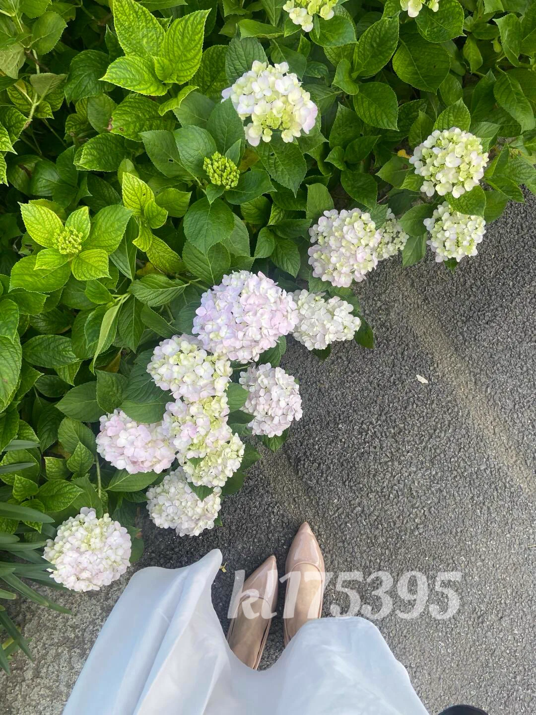 花有重开日，穴有没有再紧的时候呢🤣 https://t.co/dTqATQeLMN