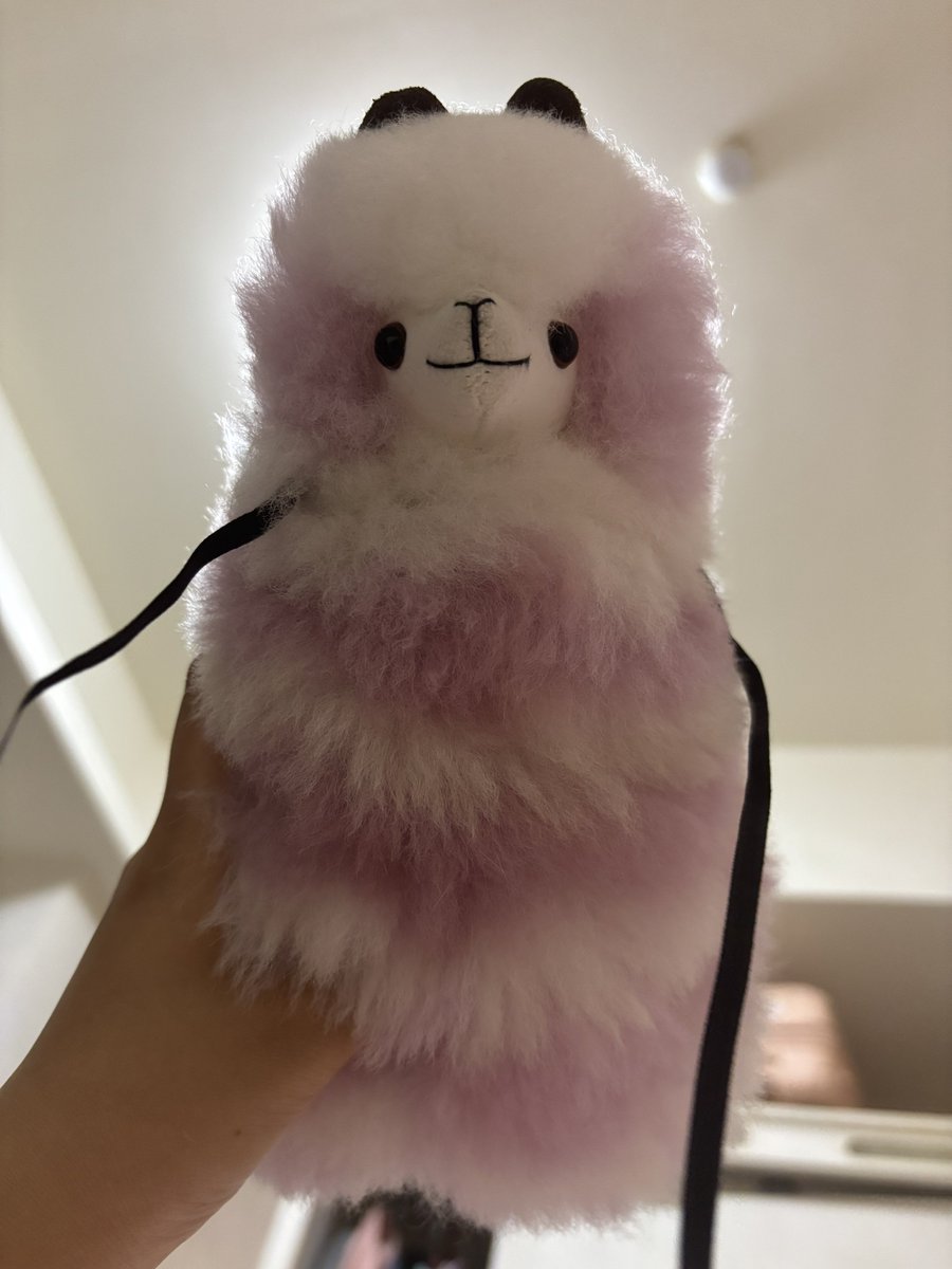 我弟買的
好貴喔
2800ㄟ
這隻根本我
超喜歡！
還以為他要送我（想太多
結果只是單純來跟我炫耀這個酷東東推坑我去買==
幹 https://t.co/KN6FJFOnys