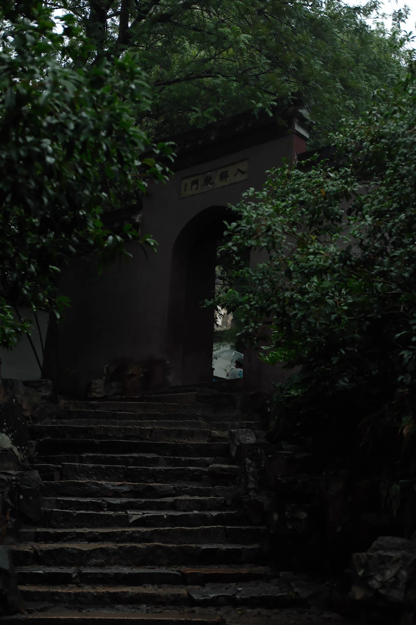 前几天在朋友圈发布的雨游虎丘图。太美了。 https://t.co/pvvaqP0M8N