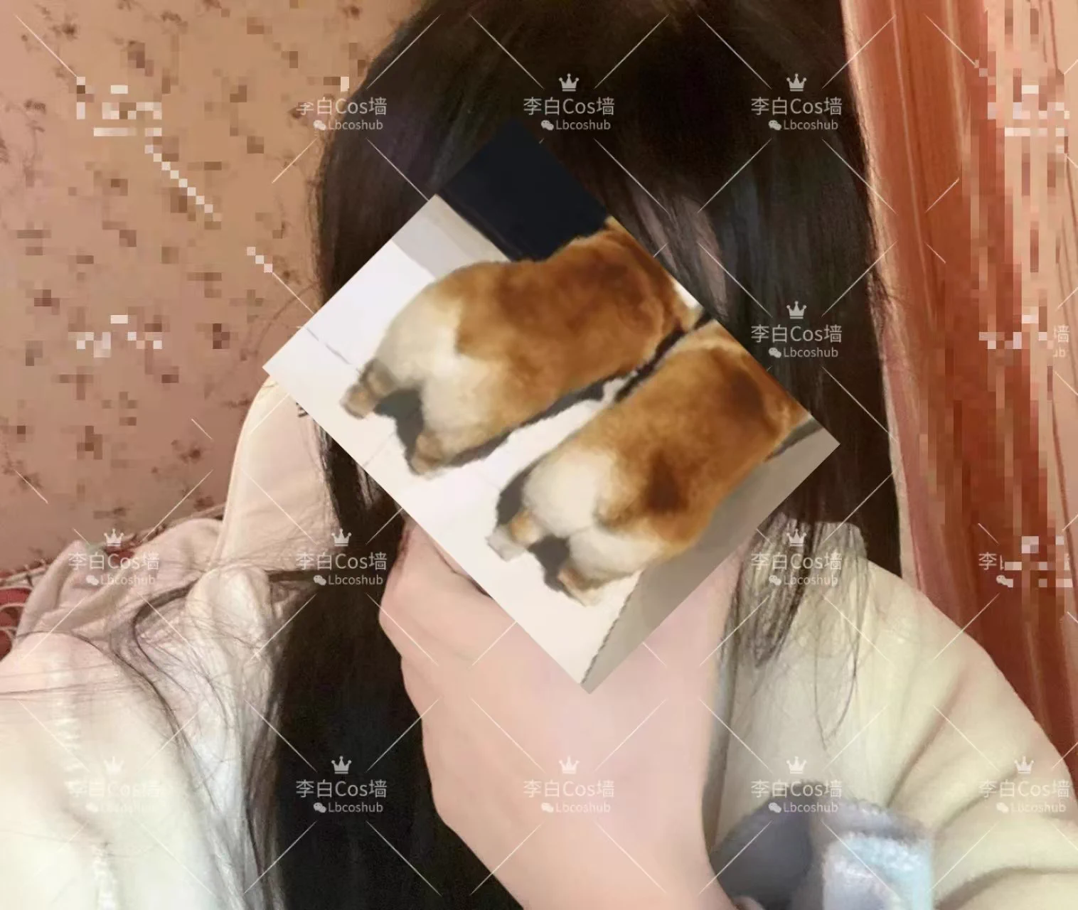 🌸今日重庆C圈白虎萝莉好评推荐:🌸18 158 82 B🌸超绝白幼瘦 肌肤滑嫩 敏感榨汁姬🌸Jk/Lo/Cos三坑少女 🉑Wt中出🌼价格次3夜6起步，全国一二线城市有高铁✈️均可安排！欢迎滴滴！🌼联系方式(门槛88，过滤口嗨白嫖怪):VX:LbcoshubwxxymQQ:3784001446TG: https://t.co/6g69JNcMuk https://t.co/An5YL5n3U7
