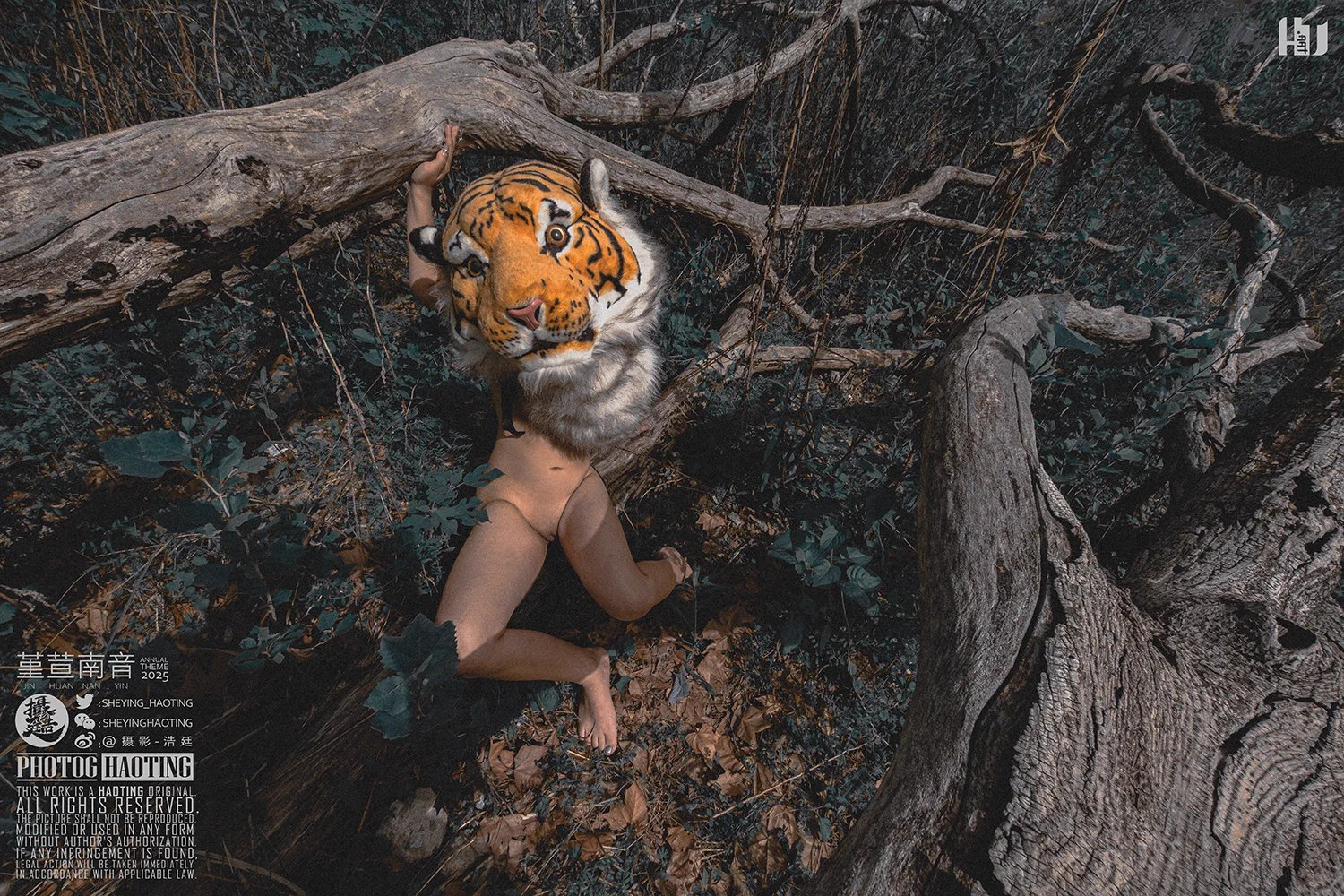 堇荁南音/大猫猫2@SakuraOf74795@Fengsiyuan#约拍 #人体艺术 #独立摄影 #HAOTING #摄影浩廷 #浩廷#NSFW #NudeArt #NudePhotography #ArtisticNude #BoudoirPhotography https://t.co/ma2qHZgcFS