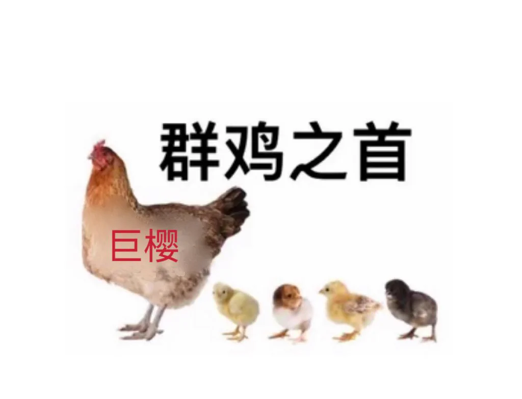 我有个朋友是道士，也做台去了，有的211毕业，也陪上大姐了，不管啥职业最后都得做台，所以我高中没毕业就出来卖了，做福利姬了，比他们少走好几年弯路… https://t.co/SLbpfgIq7o